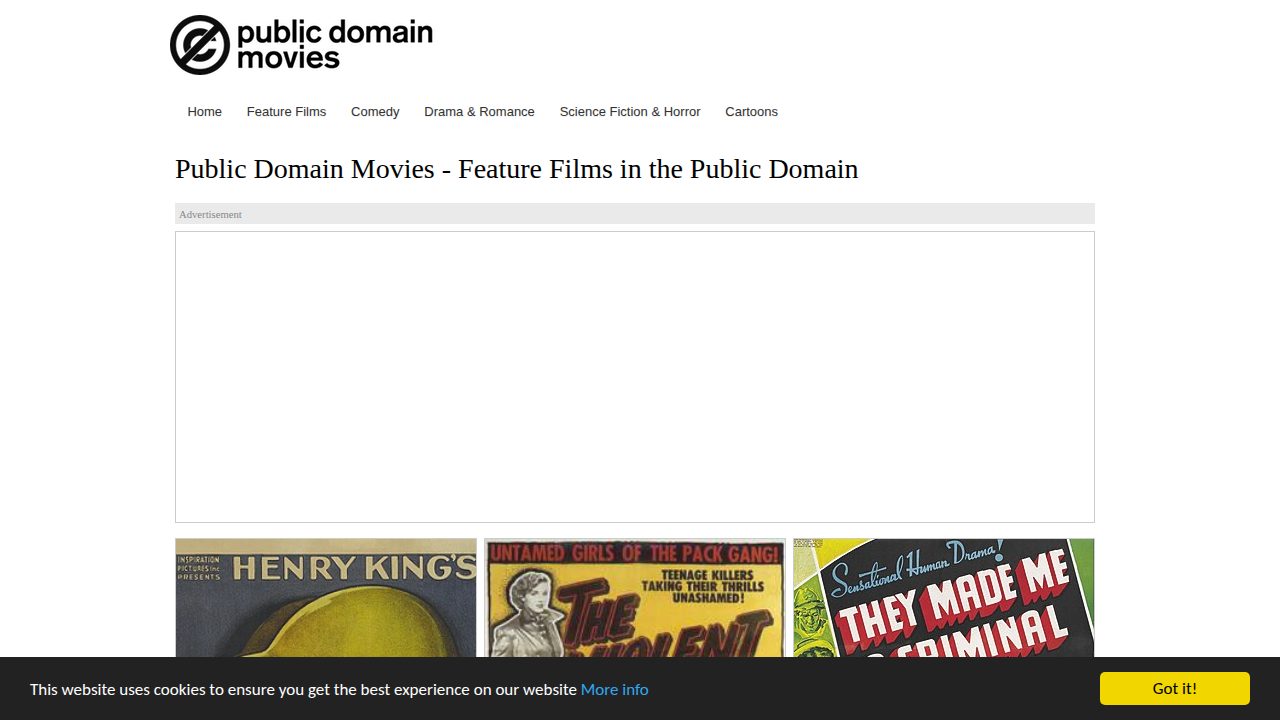Public Domain Movies screenshot