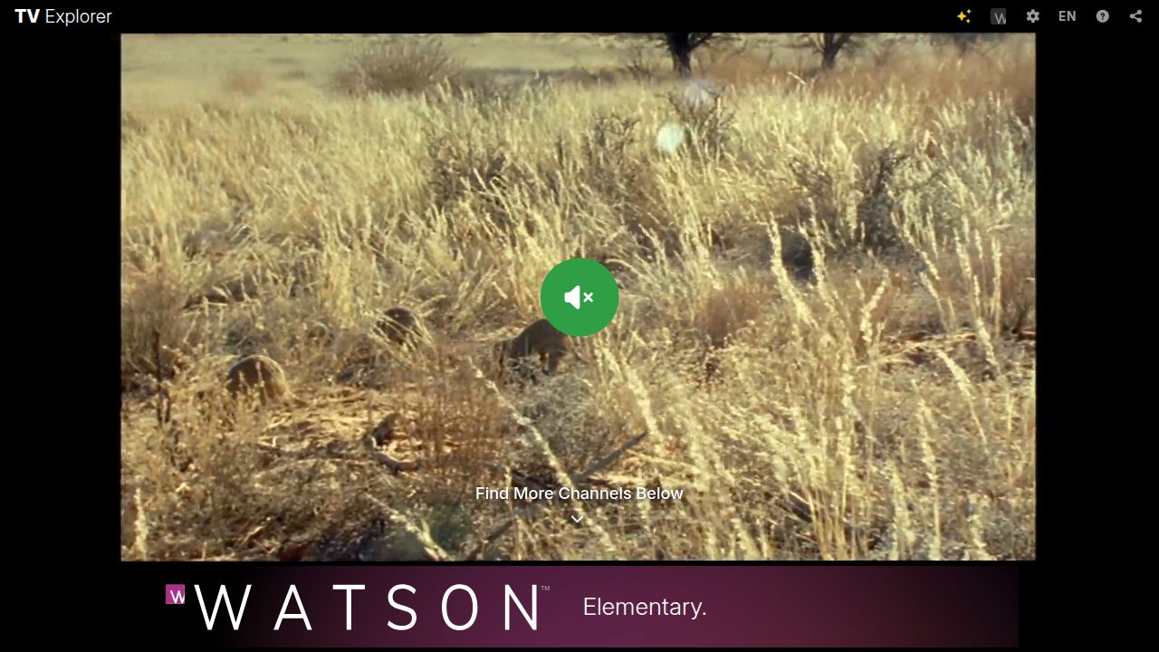 TV Explorer screenshot